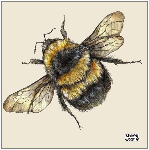 Image of Bumble bee