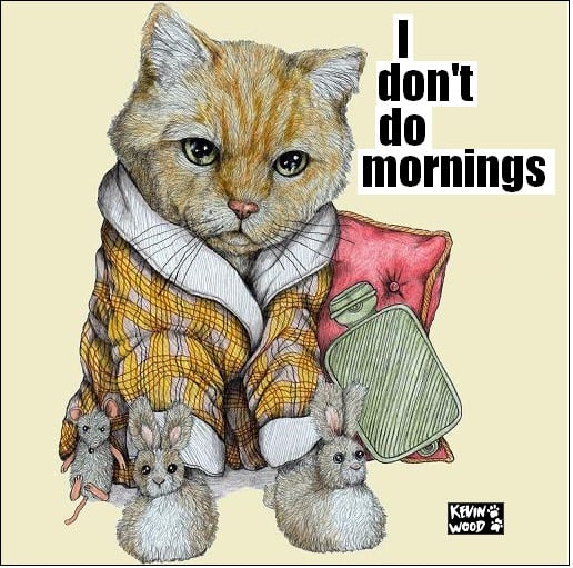 Image of I don't do mornings ceramic coaster.