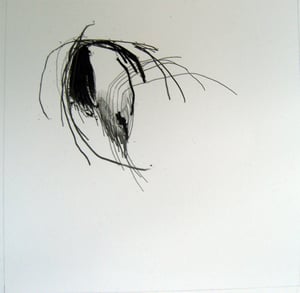 Image of LH003 - MOCK / RAPID CITIES - split 7"