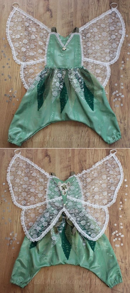 Image of Fairy outfit - surprise