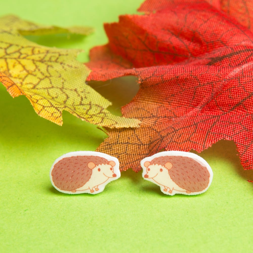 Image of Tiny Resin Hedgehog Earrings