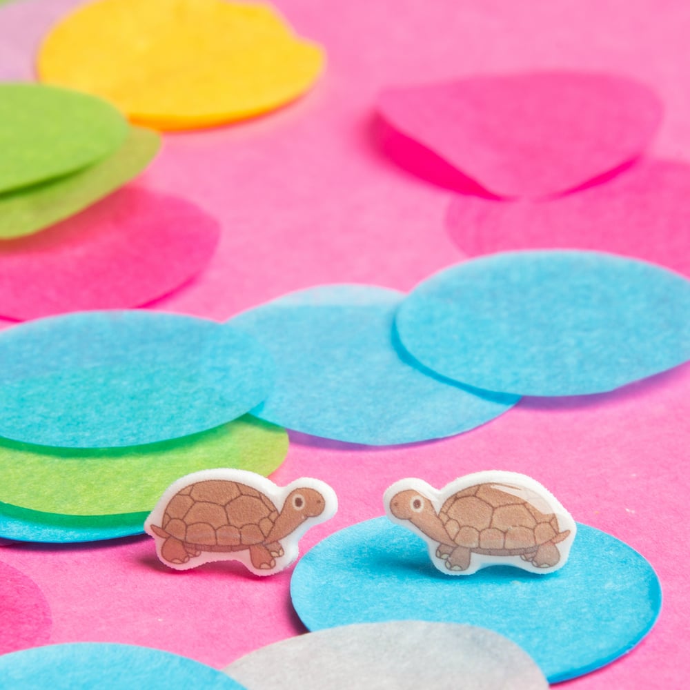 Image of Tiny Resin Tortoise Earrings