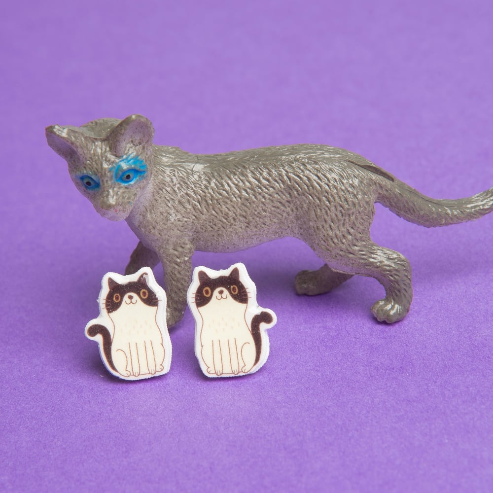 Image of Tiny Resin Cat Earrings