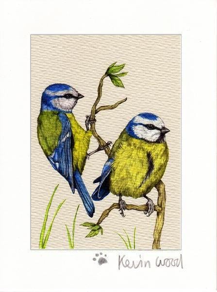 Image of Blue tits fine art print available in three sizes.