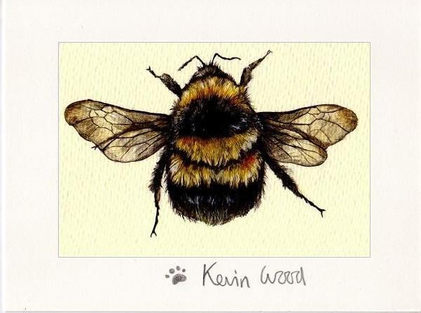 Image of Bumble bee fine art print available in three sizes.