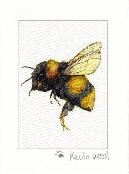 Image of Flying bee fine art print available in three sizes.