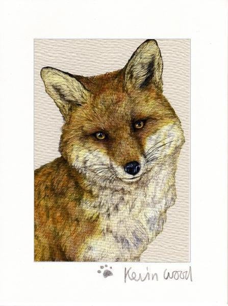 Image of Fox fine art print available in three sizes.