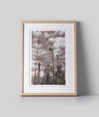 Image 2 of Palm Springs Storm (risograph, A4)