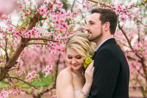 Image of Peach Orchard Minis