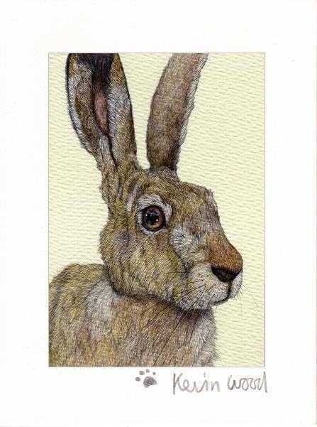 Image of Hare fine art print available in three sizes.