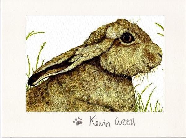 Image of Hare laying low fine art print available in three sizes.