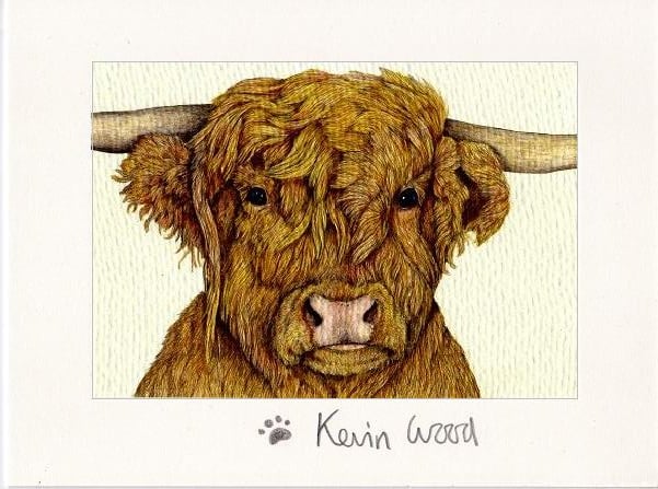 Image of Highland cow fine art print available in three sizes.