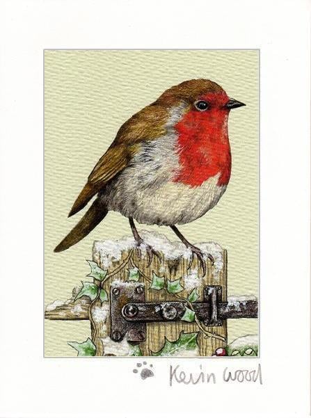 Image of Robin fine art print available in three sizes.