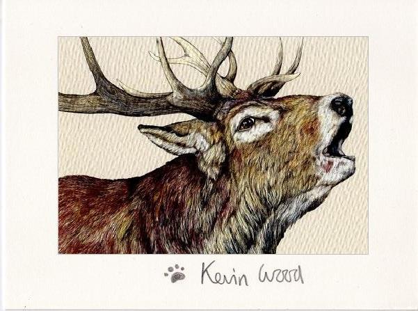 Image of stag two fine art print available in three sizes.