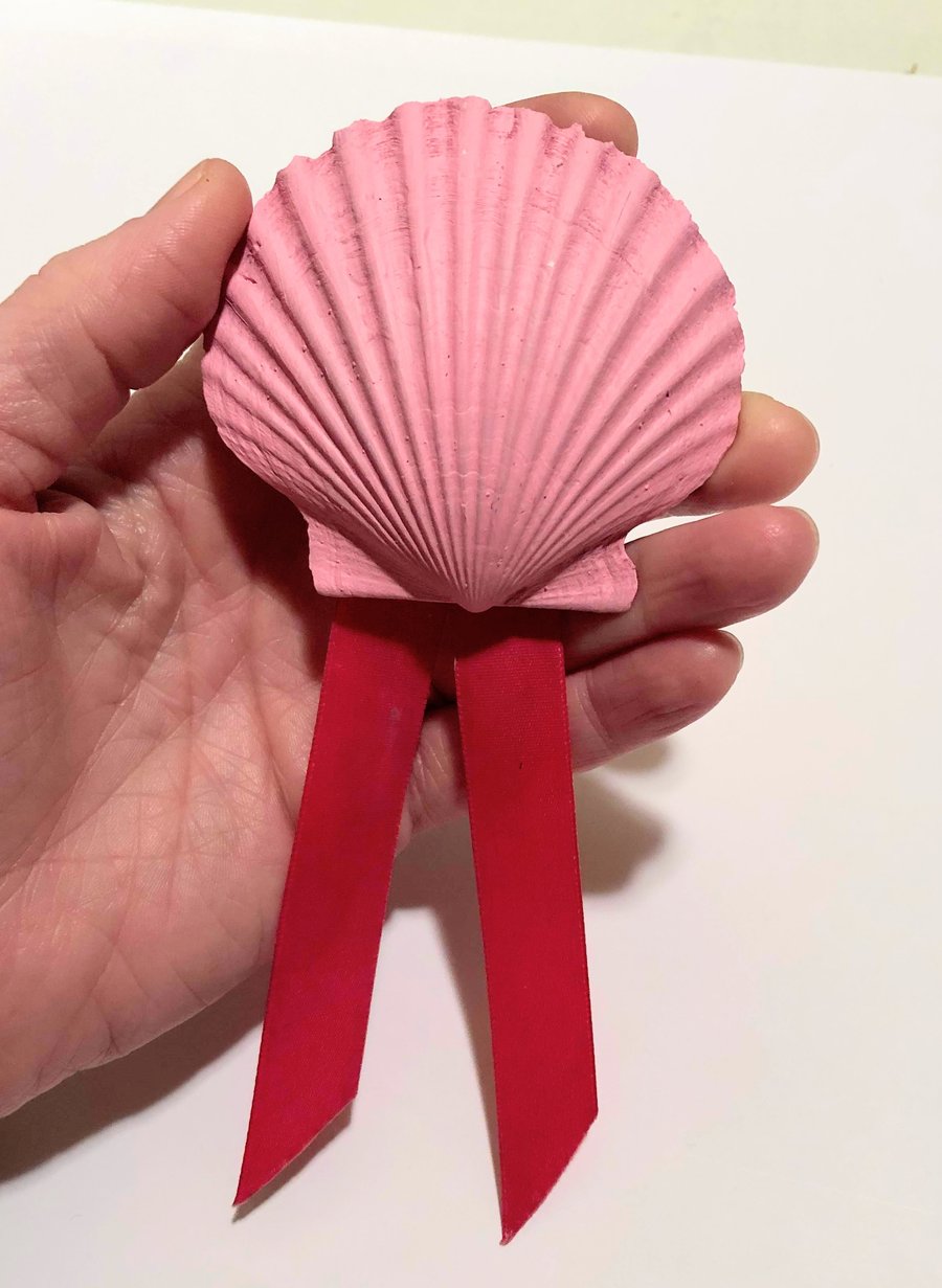 Image of Millennial Pink Shell Ribbon Pin