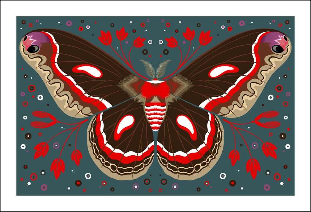 Image of Cecropia Moth Print