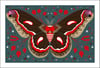 Cecropia Moth Print