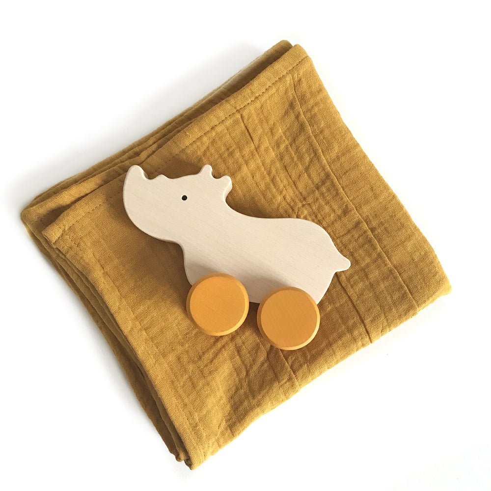 Image of Box Rhino + lange