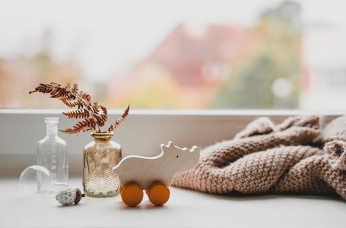 Image of Box Rhino + lange