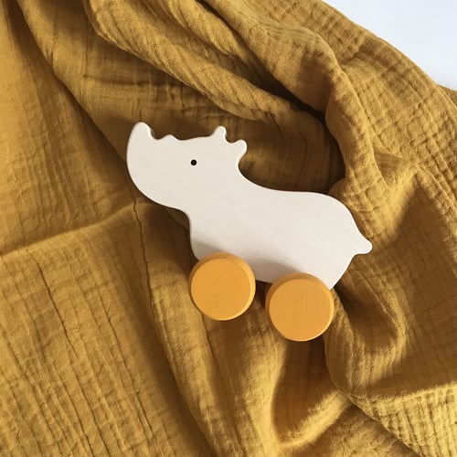 Image of Box Rhino + lange