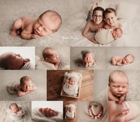Image 3 of Newborn Photoshoot DEPOSIT ONLY