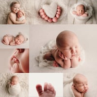 Image 2 of Newborn Photoshoot DEPOSIT ONLY
