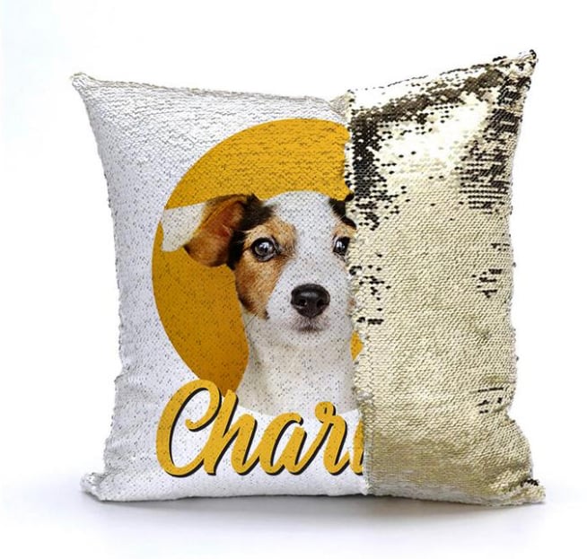 Image of Sequins photo pillow