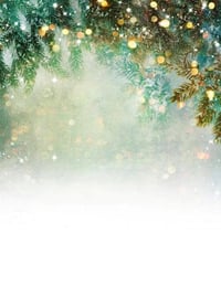 Image 3 of  8 x 8 and 5 x 7 Winter Backdrops 