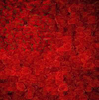 Image 4 of 8 x 8 Family Backdrops for Special Events