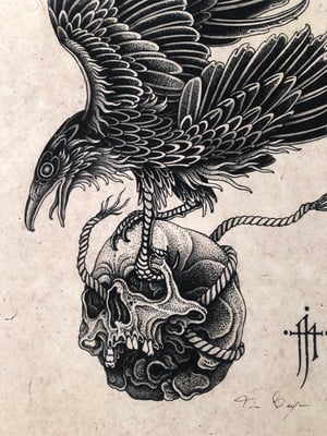 Image of Crow/skull (available in size A2/A3)