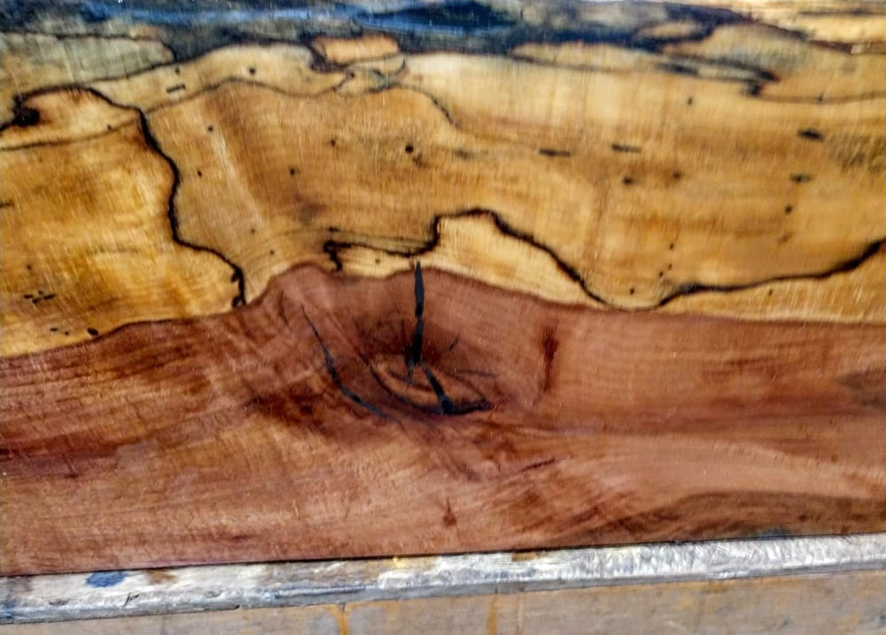 Beech / Rebel Ventures Inc.