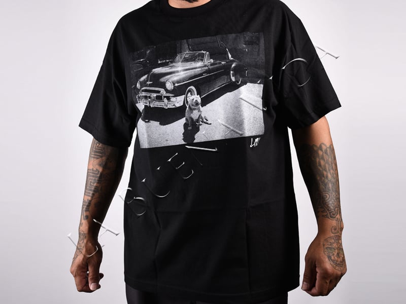 Image of LBV Cali Collective Pit Bull