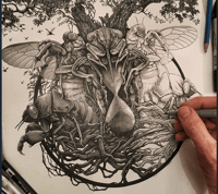 TABLATURE - THE CICADA TREE