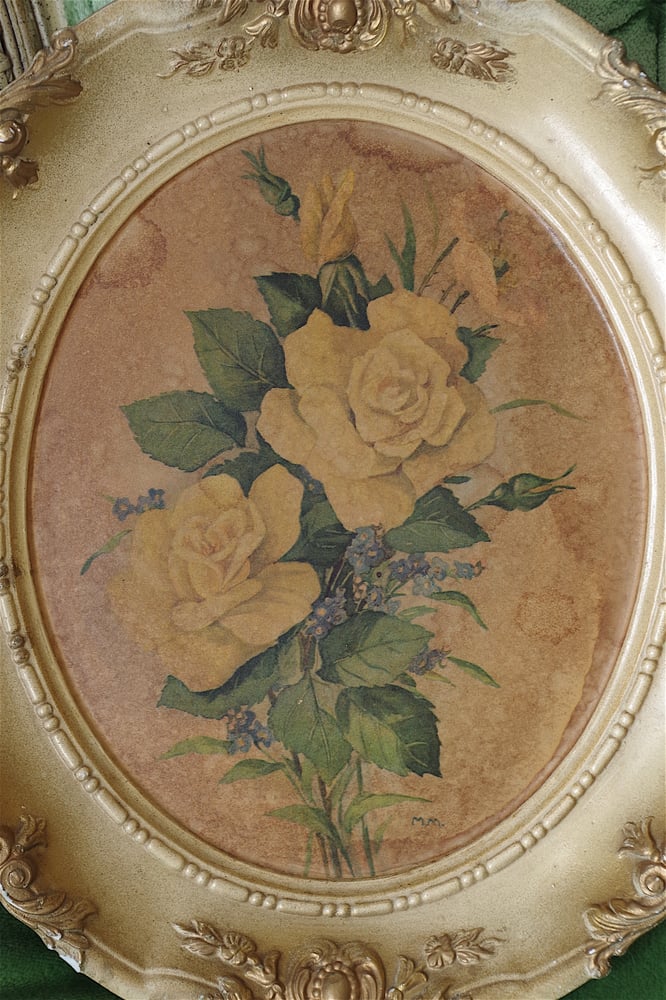 Image of Yellow Rose