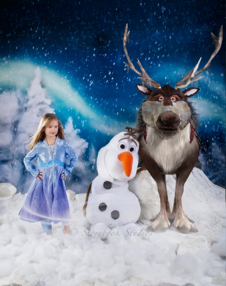 Image of 'Frozen' Themed Portraits