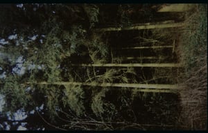 Image of Among The Bones/ Pink Priest split cassette