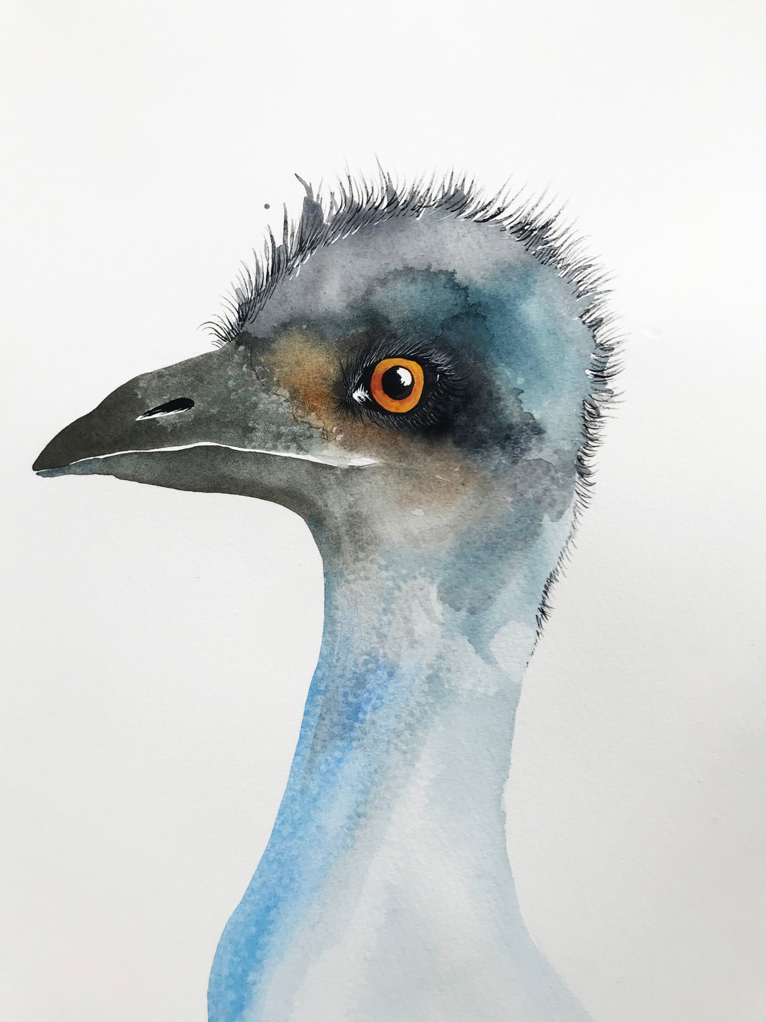 Image of Emu