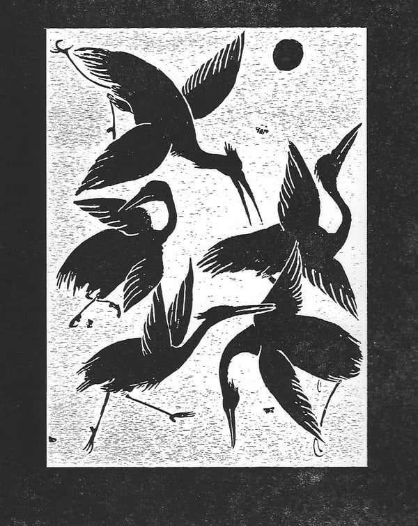 Image of Five Birds 