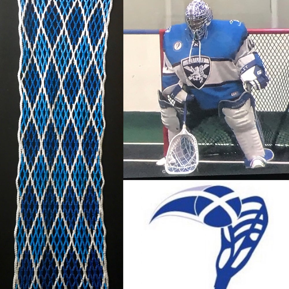 Image of Custom Designed Goalie mesh