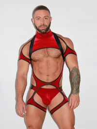 Image 1 of THE RED VELVET CHOKER SLING 