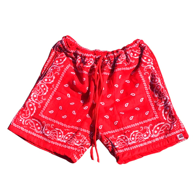 Image of Bandana shorts