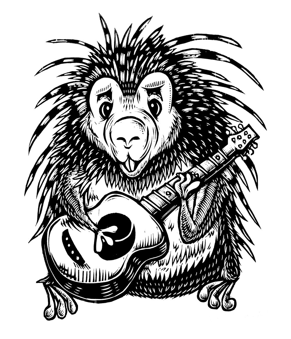 Guitar Playing Porcupine T-shirt (B1) **FREE SHIPPING**
