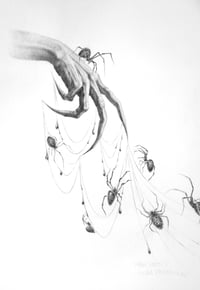 Image 1 of Seven Silver Spiders Hand embellished print with graphite, glitter plus original spider sketch