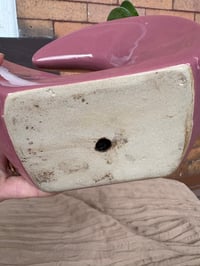 Image 4 of Jade Plant in Purple Geometric Pot