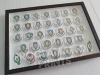 Image 1 of Framed Set of 32 County Easter Lily Badges. 