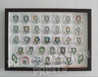 Image 2 of Framed Set of 32 County Easter Lily Badges. 
