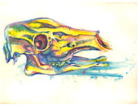 Colorful Deer Skull Art Print 8.5x11 inches