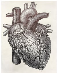 Black and White Anatomical Heart Art Print 8.5x11 inches