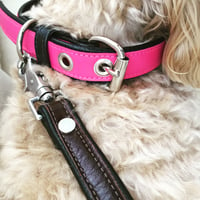 Image 1 of Groovin Dog Collar 