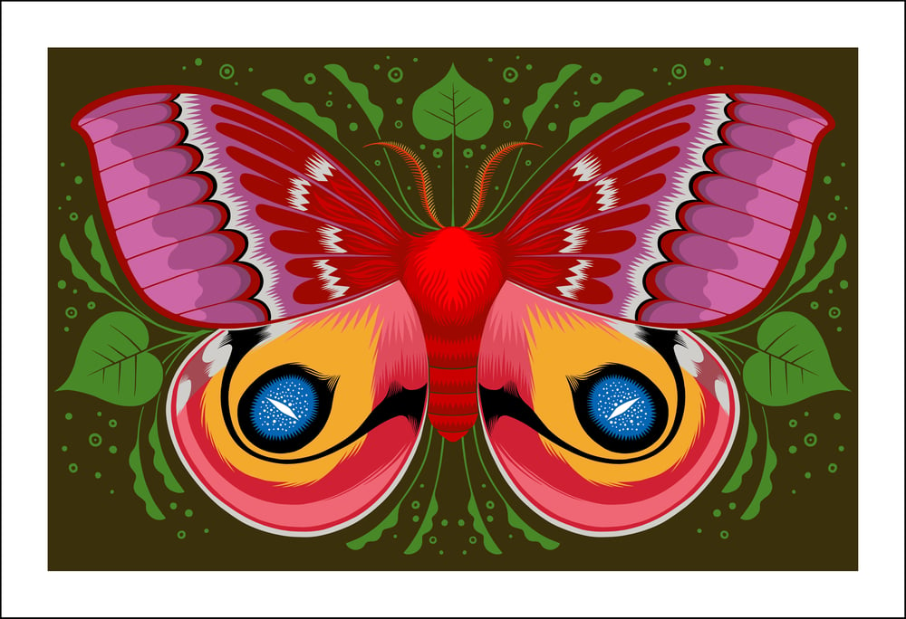 Image of Io Moth Print
